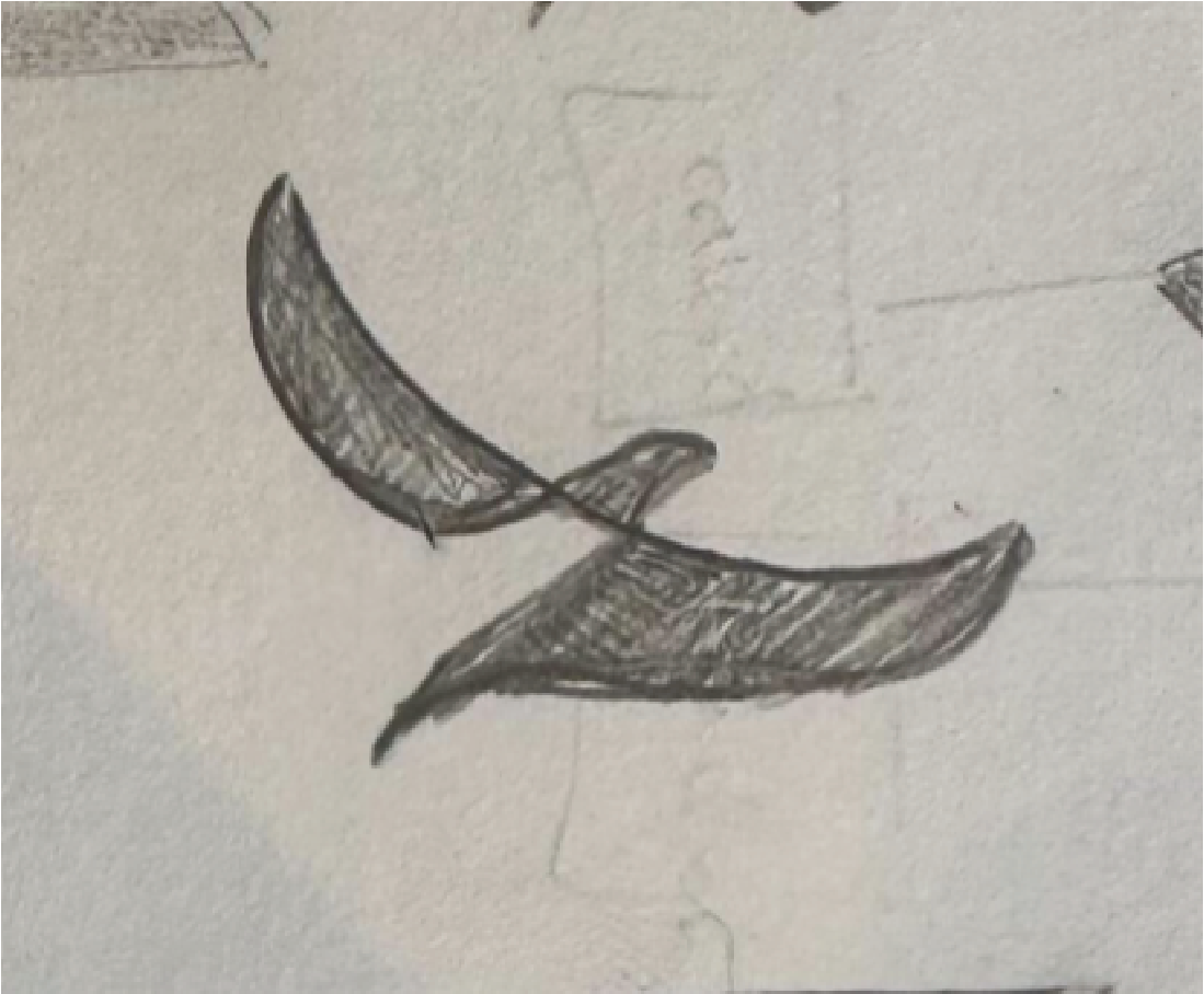 Bird logo sketch